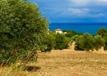 04.jpg - Agricultural land Cupra Marittima - photo 4