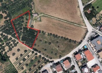 Immagine2.jpg - Terreno edificabile Vicolo Matteotti Secondo, Monteprandone - foto 1