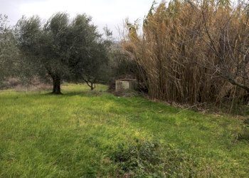 IMG_5217.JPG - Terreno edificabile Vicolo Matteotti Secondo, Monteprandone - foto 6