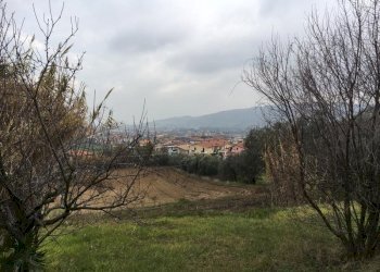 IMG_5219.JPG - Terreno edificabile Vicolo Matteotti Secondo, Monteprandone - foto 7