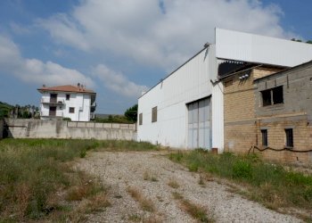 capannone industriale Colonnella - Locale Commerciale Colonnella - foto 3