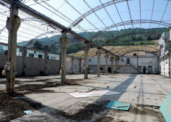 DSCF7690 (800x534).jpg - Locale Commerciale Colonnella - foto 5