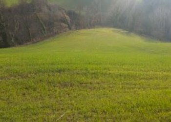 023 - 2.jpg - Terreno agricolo Mondavio - foto 2