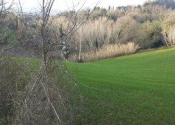 023 - 10.jpg - Terreno agricolo Mondavio - foto 4