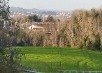 023 - 11.jpg - Terreno agricolo Mondavio - foto 7