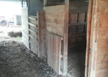 01 stalla.jpg - Terreno agricolo Mondavio - foto 12