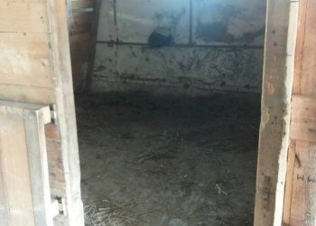 02 stalla.jpg - Terreno agricolo Mondavio - foto 13