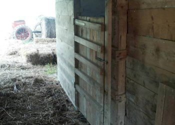 03 stalla.jpg - Terreno agricolo Mondavio - foto 14