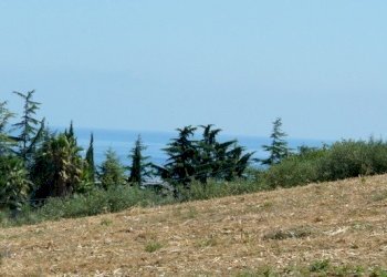 terreno.jpg - Terreno edificabile San Benedetto del Tronto - foto 2