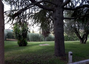 20170717_102141 (800x600).jpg - Casa indipendente Castorano - foto 7
