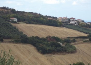 colline circostanti.jpg - Casale Strada Provinciale 3 868, Colonnella - foto 16