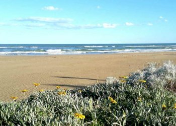 villarosa.jpg - Terreno edificabile via filippo turati, Martinsicuro - foto 1