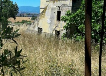 INGRESSO PRINCIPALE.jpg - Casale Contrada Civita, Colonnella - foto 2