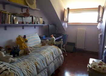 20170422_112623 (800x600).jpg - Appartamento via emidio luzi, Ascoli Piceno - foto 11