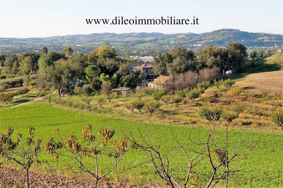 01 DI LEO IMMOBILIARE VENDE AZIENDA AGRICOLA BIOLO - Terreno agricolo Pesaro - foto 2