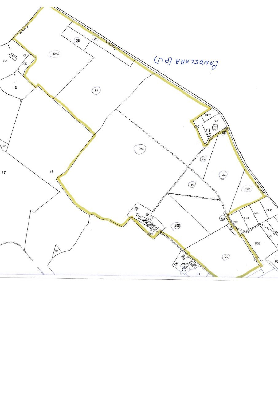 20 DI LEO IMMOBILIARE VENDE AZIENDA AGRICOLA BIOLO - Terreno agricolo Pesaro - foto 1