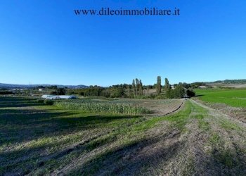03 DI LEO IMMOBILIARE VENDE AZIENDA AGRICOLA BIOLO - Terreno agricolo Pesaro - foto 1