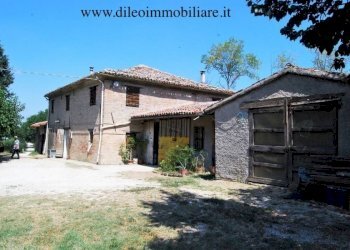 012 DI LEO IMMOBILIARE VENDE AZIENDA AGRICOLA BIOL - Terreno agricolo Pesaro - foto 3