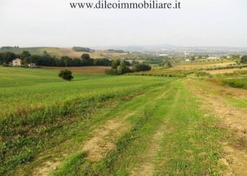 09 DI LEO IMMOBILIARE VENDE AZIENDA AGRICOLA BIOLO - Terreno agricolo Pesaro - foto 11