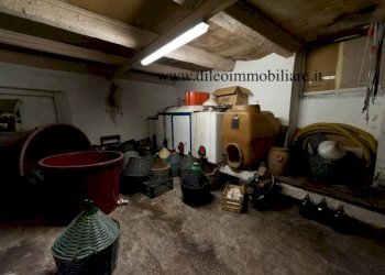 018 DI LEO IMMOBILIARE VENDE AZIENDA AGRICOLA BIOL - Terreno agricolo Pesaro - foto 17