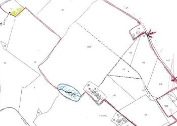 019 DI LEO IMMOBILIARE VENDE AZIENDA AGRICOLA BIOL - Terreno agricolo Pesaro - foto 19