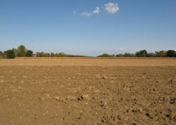 04.JPG - Terreno agricolo Falconara Marittima - foto 1