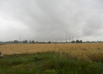 03.JPG - Terreno agricolo Falconara Marittima - foto 2