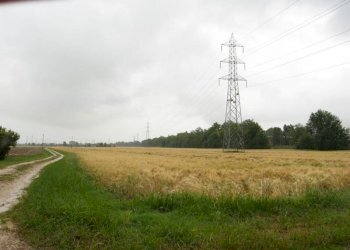 01.JPG - Terreno agricolo Falconara Marittima - foto 3