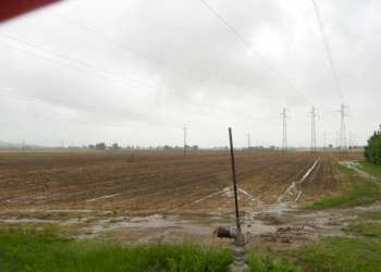 02.JPG - Terreno agricolo Falconara Marittima - foto 4