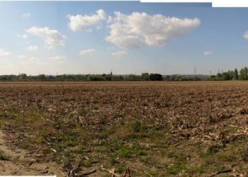 06.JPG - Terreno agricolo Falconara Marittima - foto 6