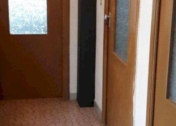 IMG_3590 (391x800).jpg - Casale località difesa pietracupa, San Fele - foto 6