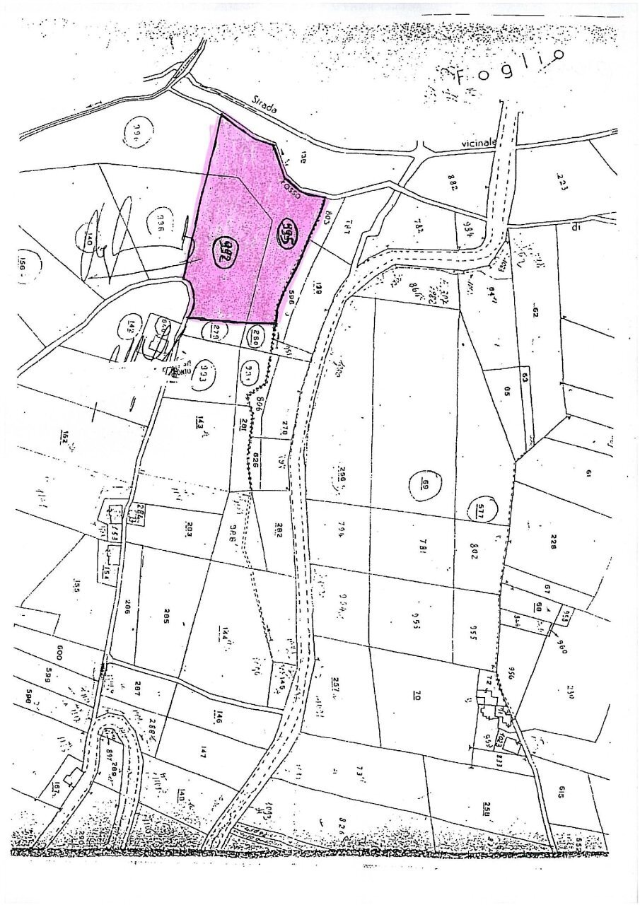 mappa.jpg - Terreno agricolo Monsampolo del Tronto - foto 1