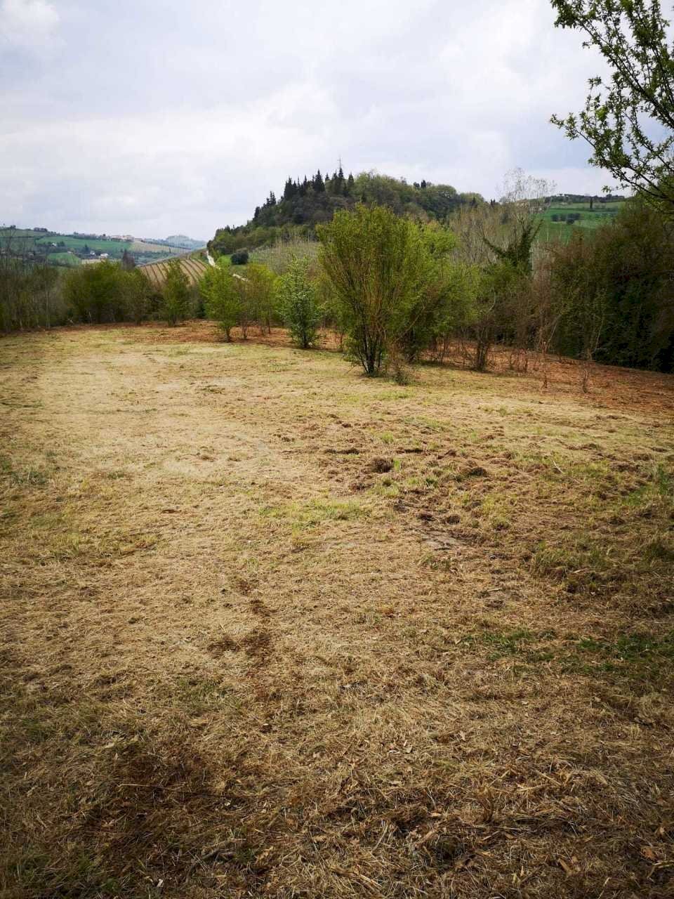 01 MONSAMPOLO DEL TR- TERRENO AGRICOLO PIANEGGIANT - Terreno agricolo Monsampolo del Tronto - foto 2