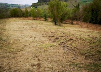 01 MONSAMPOLO DEL TR- TERRENO AGRICOLO PIANEGGIANT - Terreno agricolo Monsampolo del Tronto - foto 2