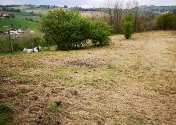 04 MONSAMPOLO DEL TR- TERRENO AGRICOLO PIANEGGIANT - Terreno agricolo Monsampolo del Tronto - foto 5