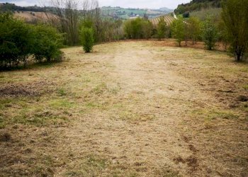 05 MONSAMPOLO DEL TR- TERRENO AGRICOLO PIANEGGIANT - Terreno agricolo Monsampolo del Tronto - foto 6