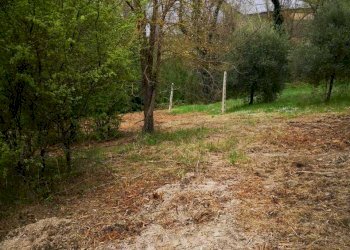 07 MONSAMPOLO DEL TR- TERRENO AGRICOLO PIANEGGIANT - Terreno agricolo Monsampolo del Tronto - foto 8