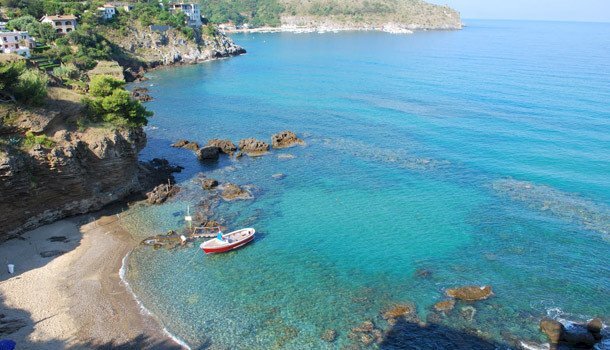 5.jpg - Non Alimentare Salerno - foto 1