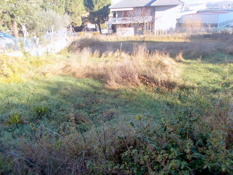 Lato Ovest.JPG - Terreno edificabile Offida - foto 2