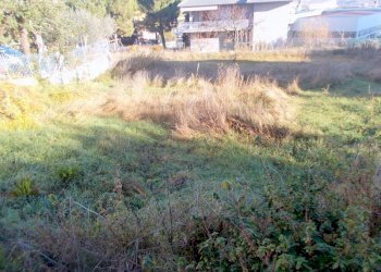 Lato Ovest.JPG - Terreno edificabile Offida - foto 2