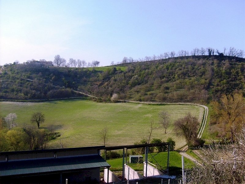 allevamenti.JPG - Azienda agricola periferia, Petritoli - foto 2