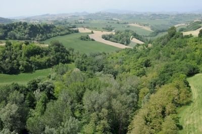 Area naturalistica il parco - bosco - Azienda agricola periferia, Petritoli - foto 3