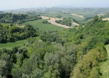 Area naturalistica il parco - bosco - Azienda agricola periferia, Petritoli - foto 3
