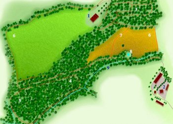 disegno.jpg - Azienda agricola periferia, Petritoli - foto 11