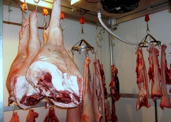 cella-frigorifera.JPG - Azienda agricola periferia, Petritoli - foto 13