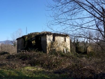 P1070339.JPG - Casale Venarotta - foto 1