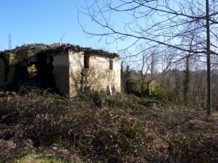 P1070340.JPG - Casale Venarotta - foto 2