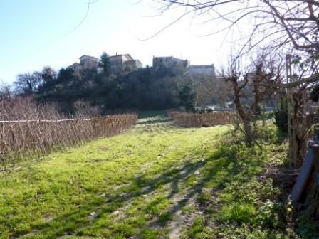 Field.JPG - Casa indipendente Venarotta - foto 2