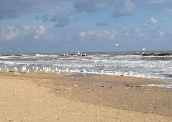 08 CUPRA MARITTIMA-AVVIATO STABILIMENTO BALNEARE V - Stabilimento balneare Cupra Marittima - foto 9