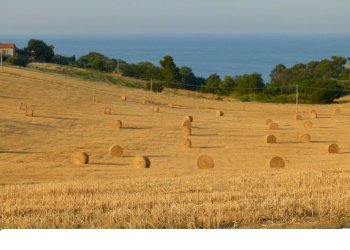 14 CUPRA MARITTIMA-AVVIATO STABILIMENTO BALNEARE V - Stabilimento balneare Cupra Marittima - foto 15